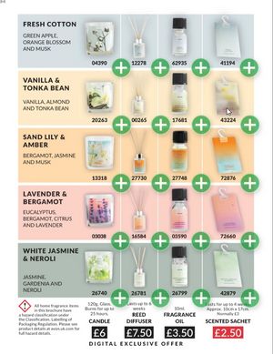 Avon Brochure campaign 8 2026 page 217