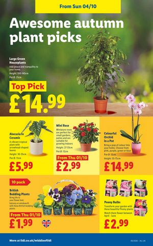 Lidl leaflet offers 01/10/2026 - 07/10/2026 page 32