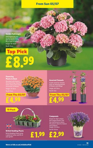Lidl leaflet offers 02/07/2026 - 08/07/2026 page 19