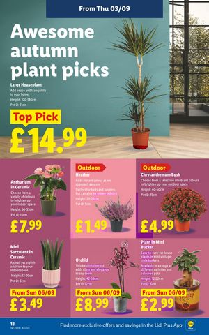Lidl leaflet offers 03/09/2026 - 09/09/2026 page 20