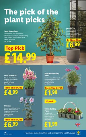 Lidl leaflet offers 04/06/2026 - 10/06/2026 page 20