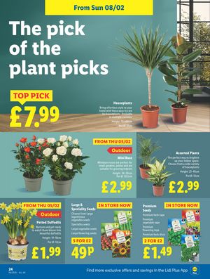 Lidl leaflet offers 05/02/2026 - 11/02/2026 page 24