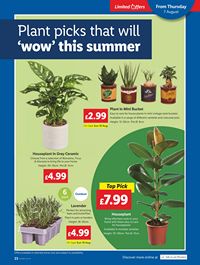 Lidl leaflet offers 07/08/2025 - 13/08/2025 page 25