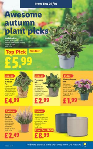 Lidl leaflet offers 08/10/2026 - 14/10/2026 page 26