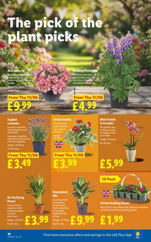 Lidl leaflet offers 11/06/2026 - 17/06/2026 page 18