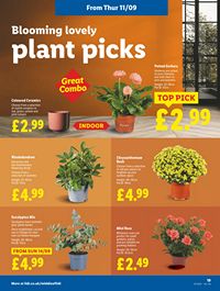 Lidl leaflet offers 11/09/2025 - 17/09/2025 page 21