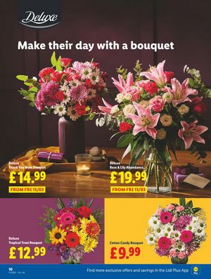 Lidl leaflet offers 12/03/2026 - 18/03/2026 page 12