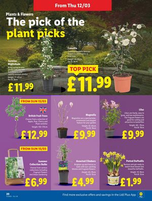 Lidl leaflet offers 12/03/2026 - 18/03/2026 page 22