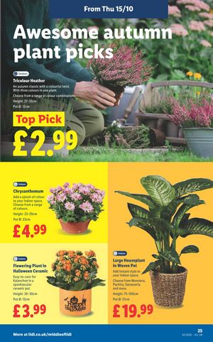 Lidl leaflet offers 15/10/2026 - 21/10/2026 page 27