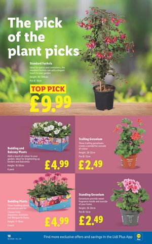 Lidl leaflet offers 16/04/2026 - 22/04/2026 page 20