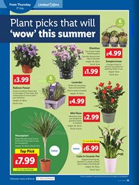 Lidl leaflet offers 17/07/2025 - 23/07/2025 page 18