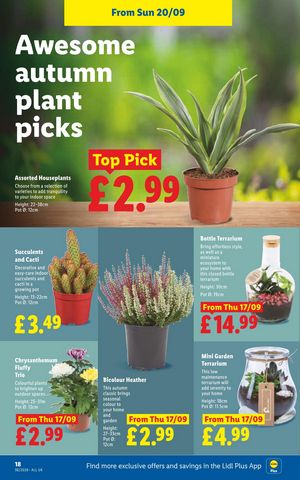 Lidl leaflet offers 17/09/2026 - 23/09/2026 page 20