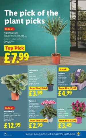Lidl leaflet offers 20/08/2026 - 26/08/2026 page 24
