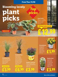 Lidl leaflet offers 21/08/2025 - 27/08/2025 page 20