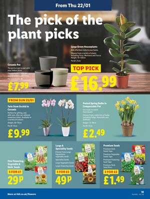 Lidl leaflet offers 22/01/2026 - 28/01/2026 page 19