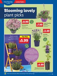 Lidl leaflet offers 22/05/2025 - 28/05/2025 page 18