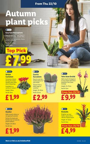 Lidl leaflet offers 22/10/2026 - 28/10/2026 page 28