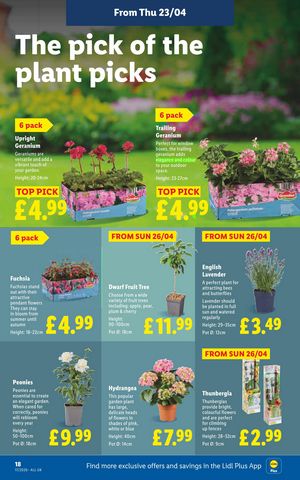 Lidl leaflet offers 23/04/2026 - 29/04/2026 page 51