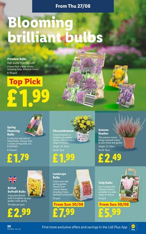 Lidl leaflet offers 27/08/2026 - 03/09/2026 page 22
