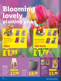 Lidl leaflet offers 28/08/2025 - 04/09/2025 page 24