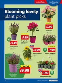 Lidl leaflet offers 29/05/2025 - 04/06/2025 page 21
