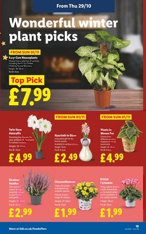 Lidl leaflet offers 29/10/2026 - 09/11/2026 page 23
