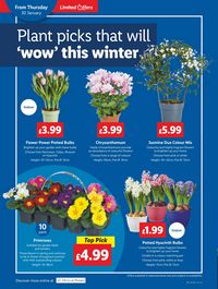 Lidl leaflet offers 30/01/2025 - 05/02/2025 page 18